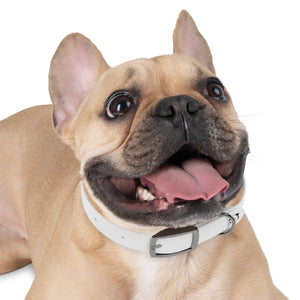 Voyagers Outlet Travel Buddy Collar